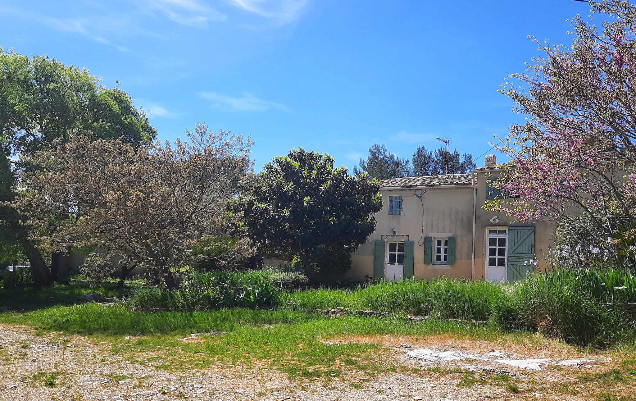 Agence immobilière de Best Home